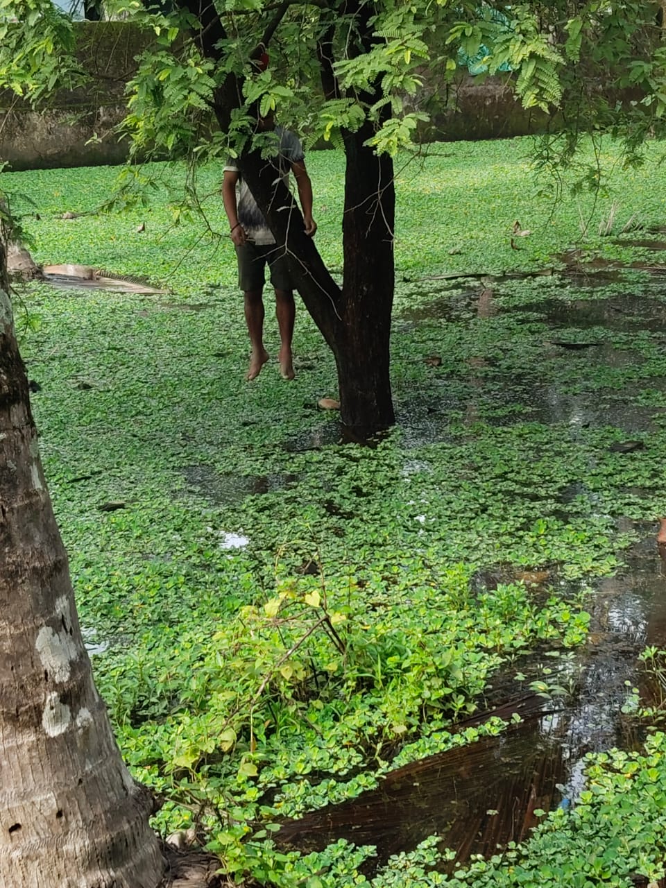 താനൂർ ബൈപ്പാസ് റോഡിന് സമീപം തൂങ്ങിമരിച്ച നിലയിൽ